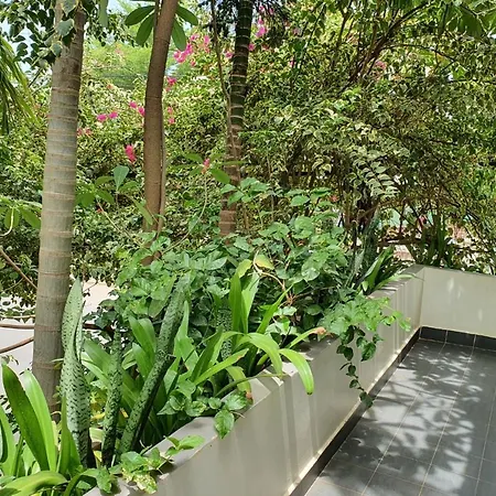 Siem Reap Tevi Residence